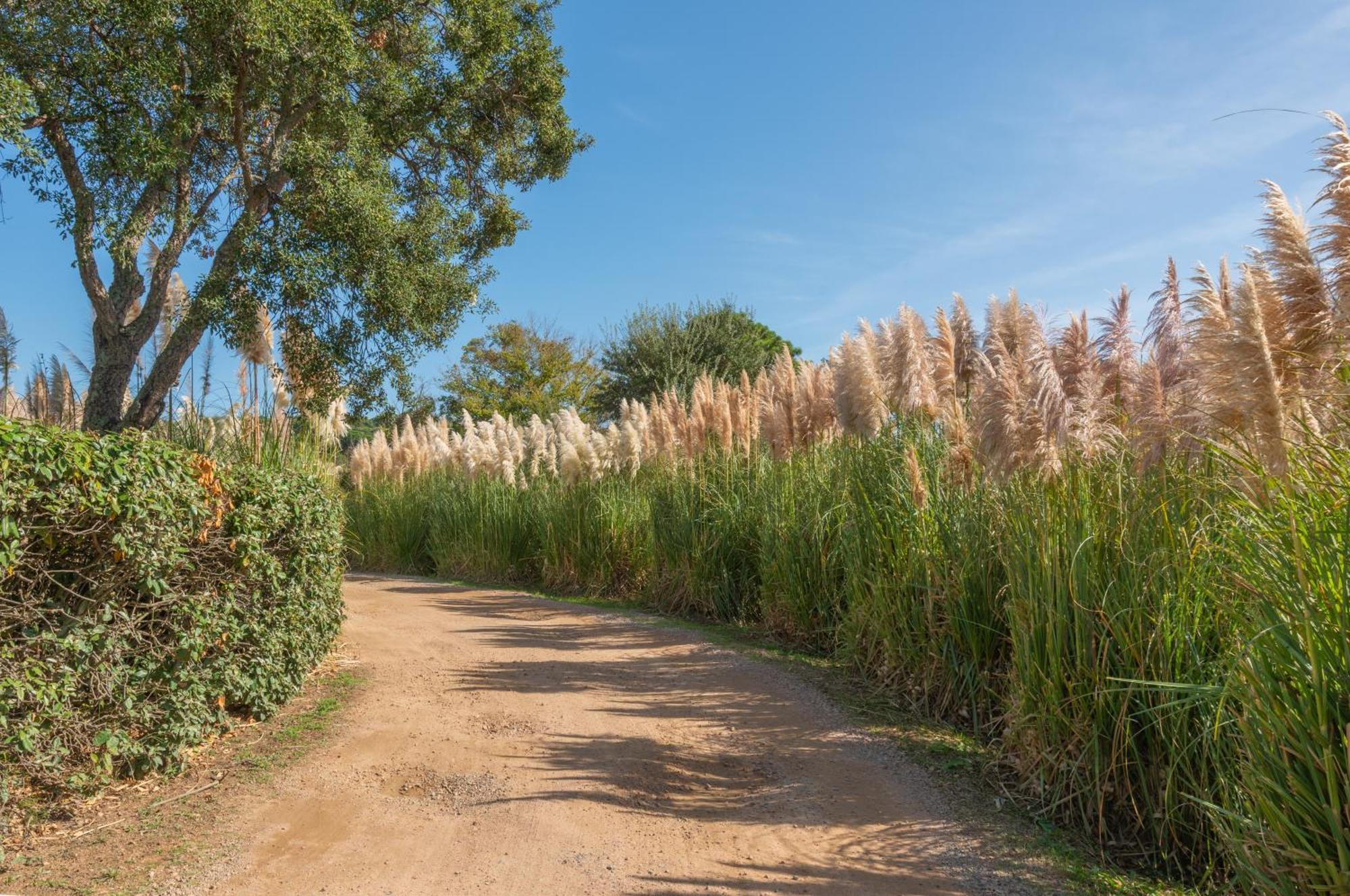 פורטו-וישיו Residence Domaine De Caranella מראה חיצוני תמונה