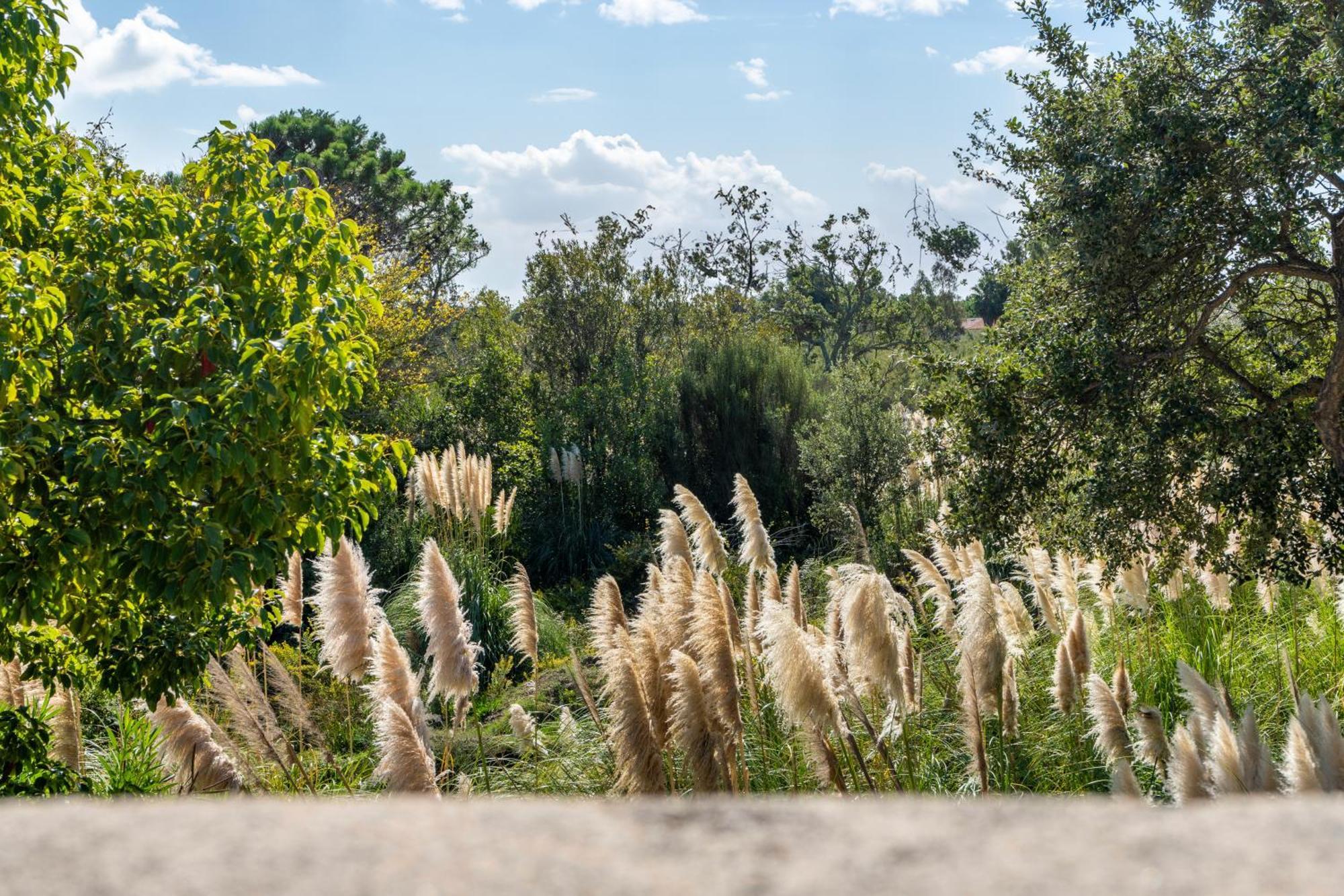 פורטו-וישיו Residence Domaine De Caranella מראה חיצוני תמונה